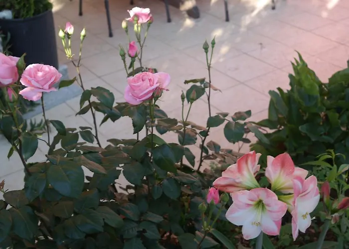 Nada Maison d'hôtes 3*