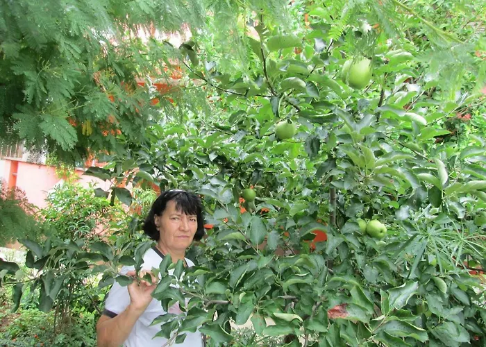 Nada Гостевой дом